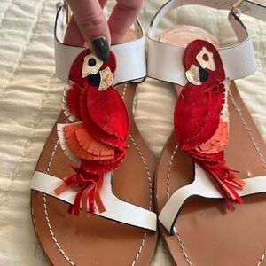 Kate Spade Parrot Sandals